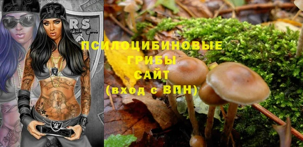 ECSTASY Алексеевка