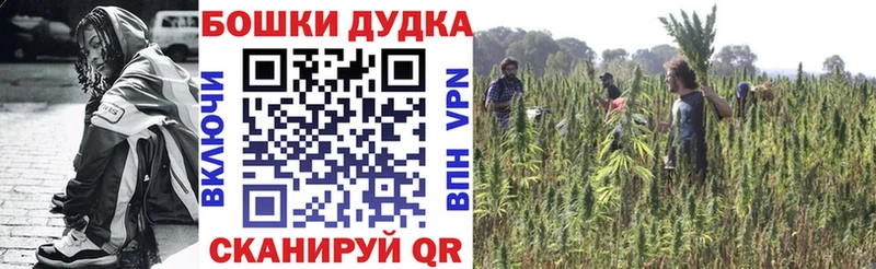Бошки марихуана OG Kush сколько стоит кракен маркетплейс Крым